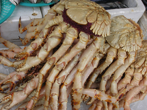 Huge cooked crabs at Jumunjin
